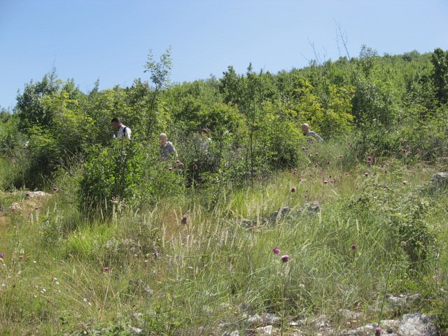 Medjugorje
