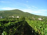 Medjugorje
