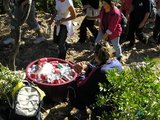 Medjugorje